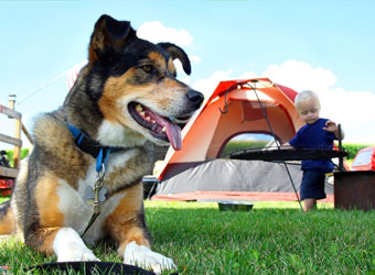 Campsites.co.uk