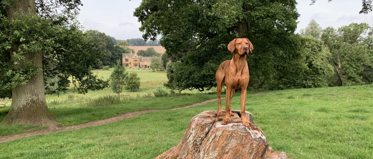 Lords of the Manor