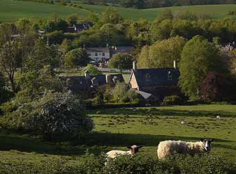 The Norman Knight Camping