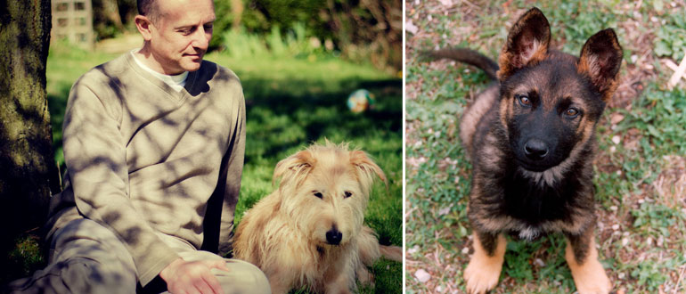 The Animal Healer