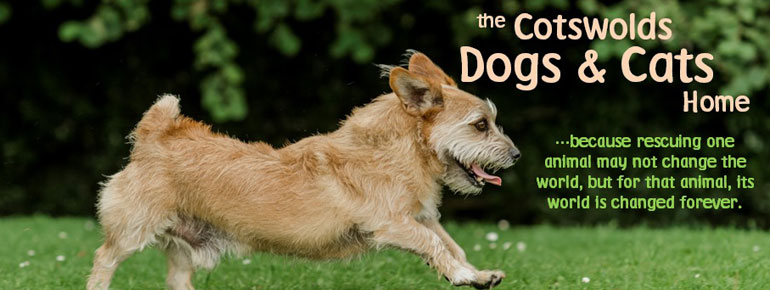 Dogs Trust