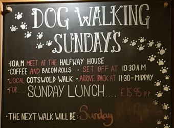 Dog Walking Sundays
