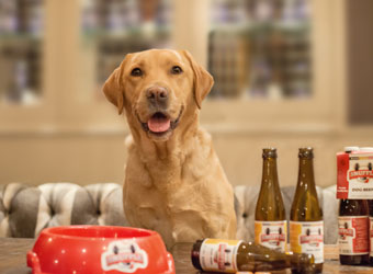 Doggy Beer
