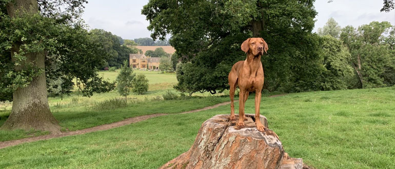 Lords of the Manor