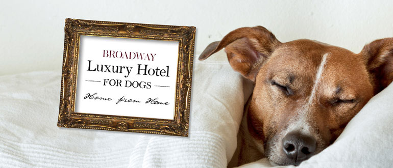 The Luxury Dog Hotel