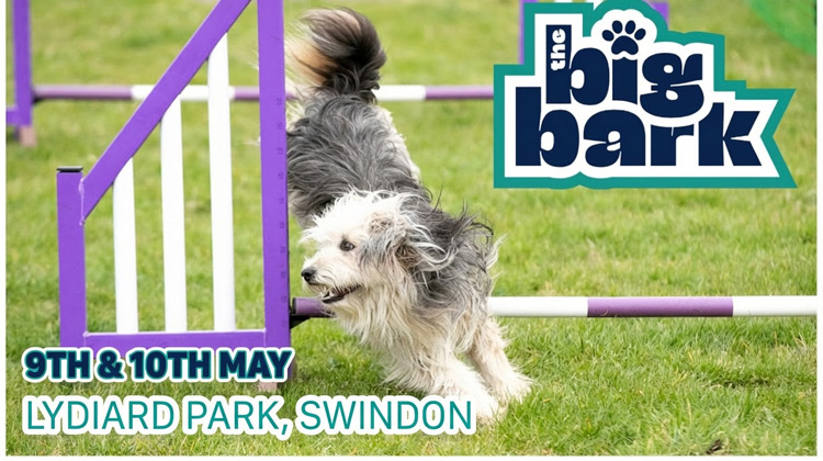 Big Bark