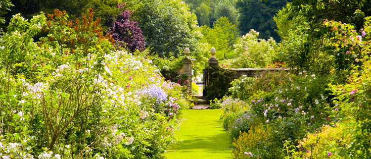 Cerney House Gardens