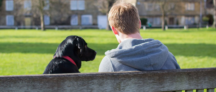 Dog friendly parks & gardens in the Cotswolds
