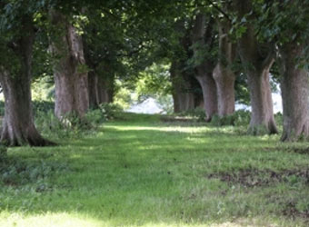 Circular Walk, Hills & Hillforts
