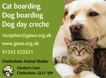 Cheltenham Animal Shelter