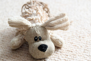 Dog food and treat shops in the Cotswolds