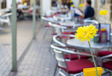 Dog friendly cafes in the Cotswolds