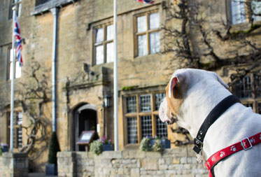 Dog Friendly Hotels in the Cotswolds
