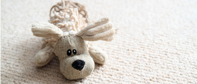 Dog food & treat shops in the Cotswolds