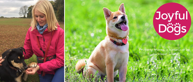 Joyful Dogs