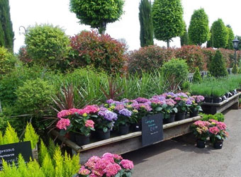 Lowden Garden Centre, Shaw