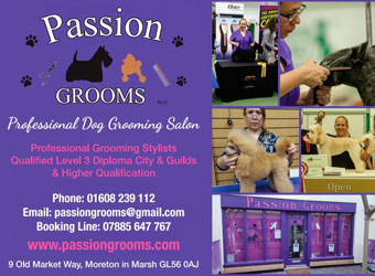 Passion Grooms