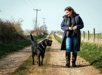 Positive Canine Coaching