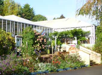Prior Park Garden Centre