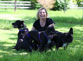 Puppy Power Training Gloucester