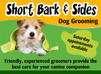 Short Bark and Sides, Cheltenham