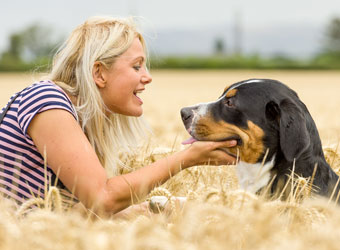 Social Paws, Cheltenham