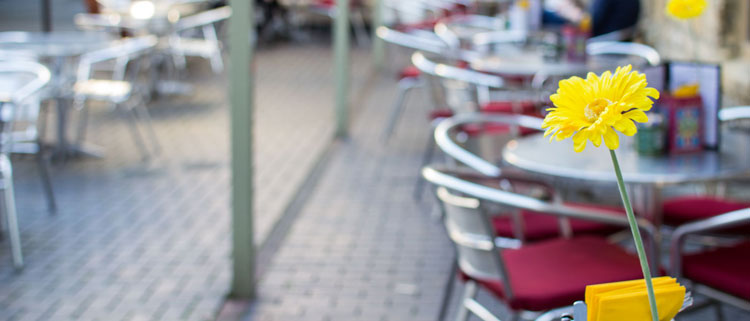 Dog friendly cafes in the Cotswolds