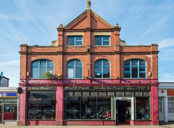 The Frog & Fiddle