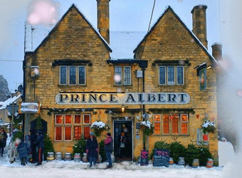 The Prince Albert