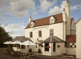 Gloucester Old Spot