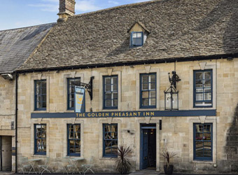 The Golden Pheasant